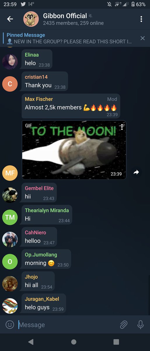 gemlette's tweet photo. @CRYPTOFIED1 @GibbonOfficial https://t.co/bm8Pn97sNM