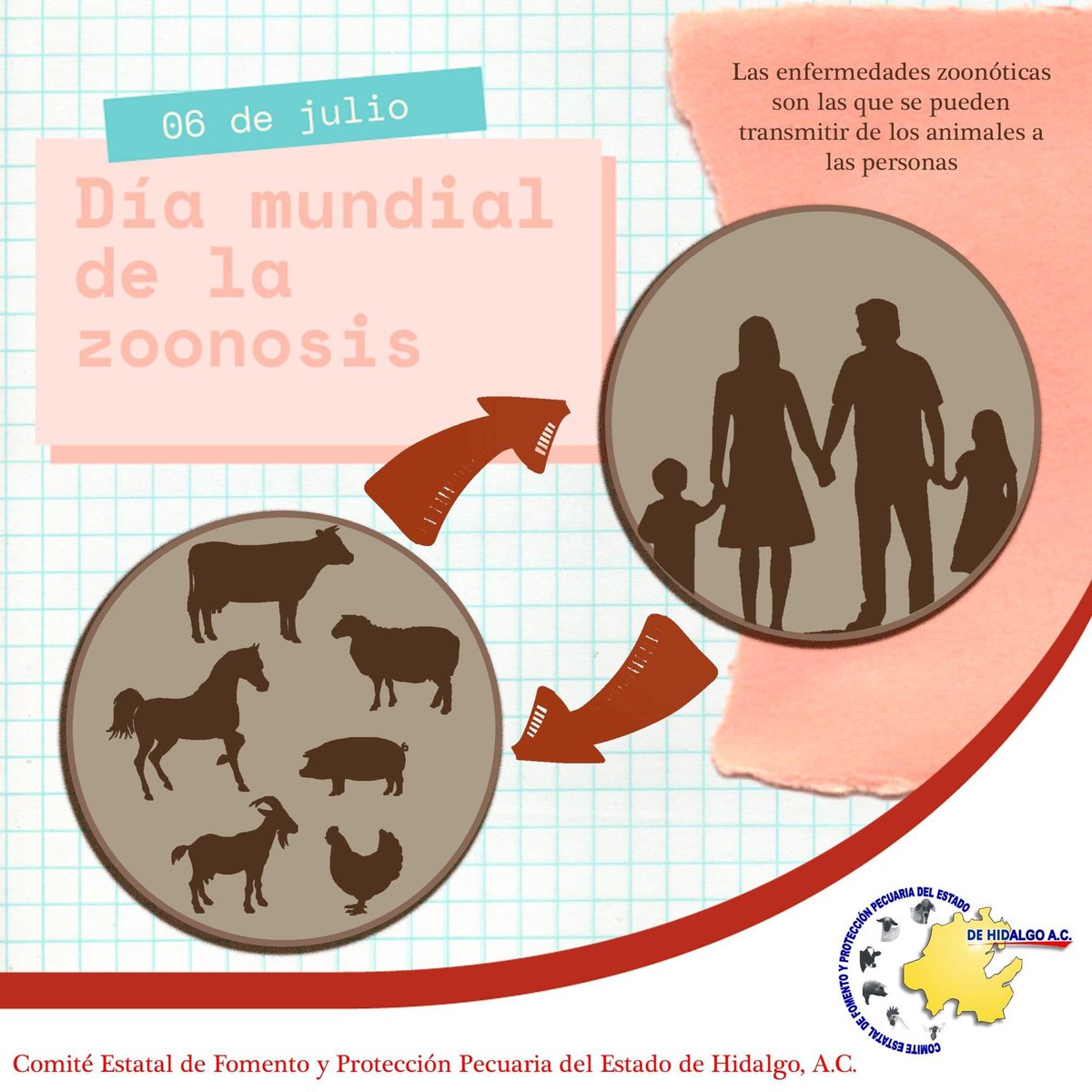 cefpphidalgo's tweet photo. El concepto “zoonosis” es definido por la Organización Mundial de la Salud (OMS) en 1956, como aplicable a cualquier enfermedad que de manera natural es transmisible de los animales vertebrados al hombre https://t.co/ULfef4nHuE