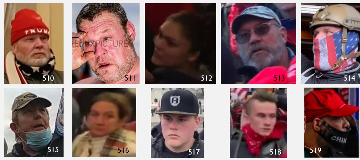 They stormed the Capitol! We call them #SeditionInsiders because they were inside the building. Recognize anyone? If so the FBI would like to hear from you. #CapitolAttack More insiders seditionhunters.org/seditioninside…