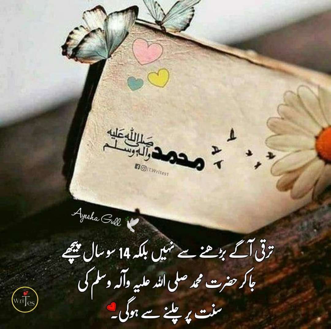 Haniansari93's tweet photo. #islam #knowledge #motivation #quotes https://t.co/raqRSCYhXH