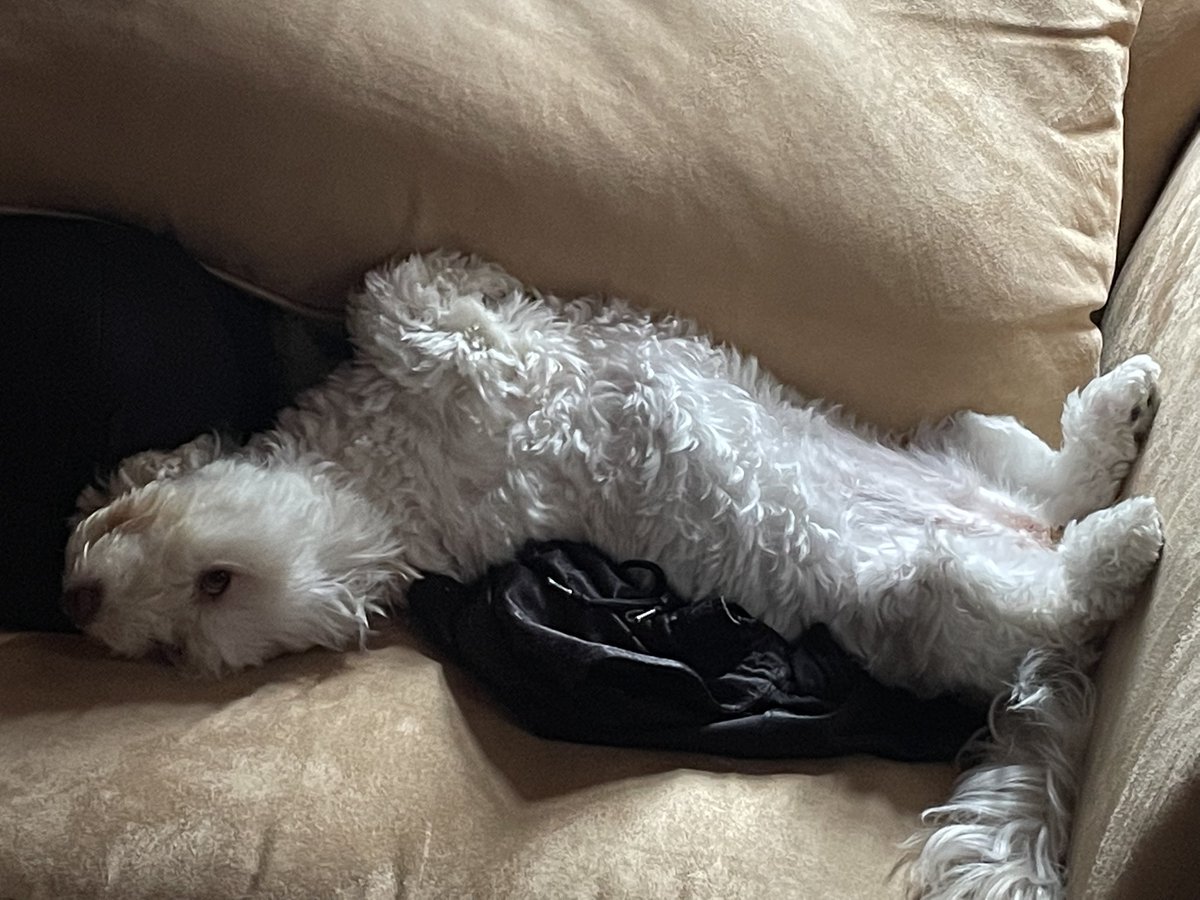 TacDaddy (@thetacdaddy) on Twitter photo 