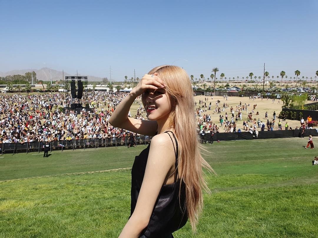 hourly rosé tweet media