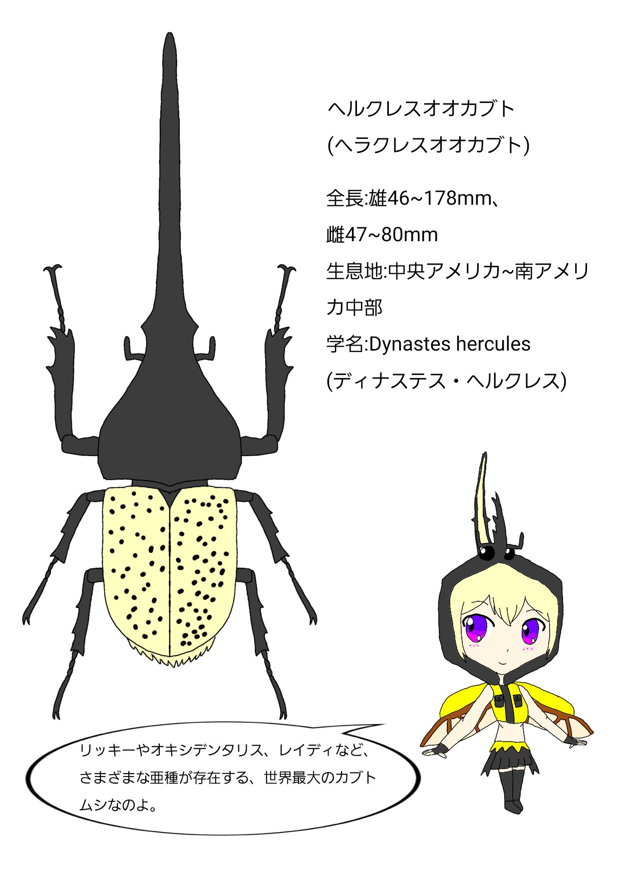 ヘルクレスオオカブト Twitter Search Twitter