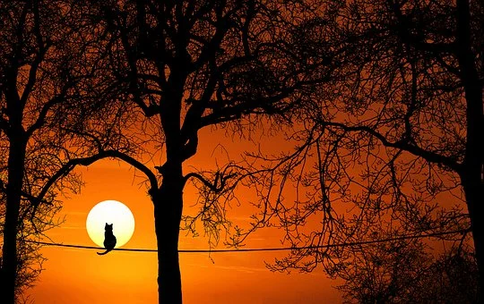 AnahisPiar's tweet photo. "La ironía más grande del mundo,
es que las mejores personas tienen pocos amigos"

#AsíLoLeí #ViveYa #FelizNoche https://t.co/LU66QlRUop