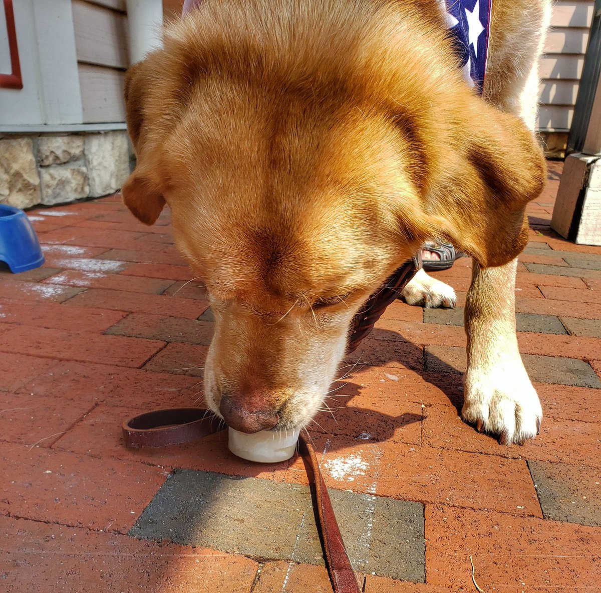 Landon had a great 4th of July! 🇺🇲