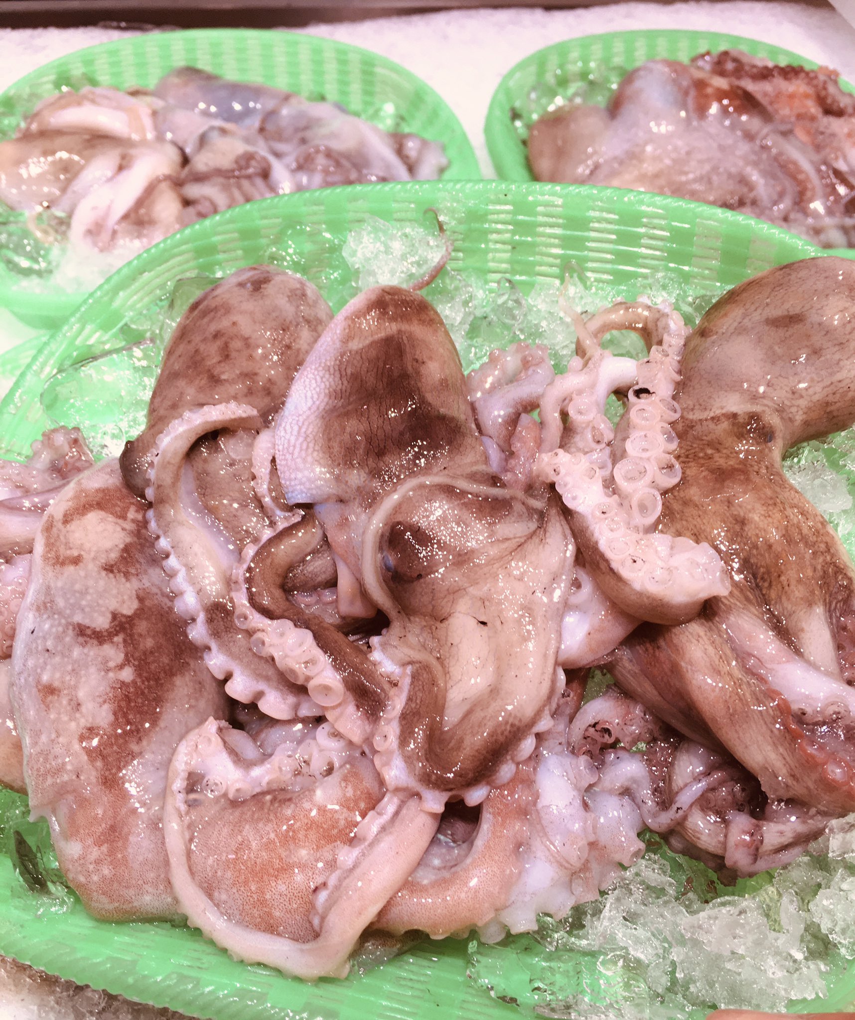 魚太郎 本店 かご盛り鮮魚 地物 タコ 舌平目 ゼンメ メゴチ 白ギス 小イカ 赤社えび しまいさき 全国からも豆あじ 真サバなど 沢山の魚が入荷 貝水槽には浅利 大あさり サザエ 平貝 あわびなど 新物生たこで柔らか煮作ってみて 店頭でレシピお渡しし 魚太郎 本店 かご盛り鮮魚 地物 タコ 舌平目 ゼンメ メゴチ 白ギス 小イカ 赤社えび しまいさき 全国からも豆あじ 真サバなど 沢山の魚が入荷 貝水槽には浅利 大あさり サザエ 平貝 あわびなど 新物生たこで柔らか煮作ってみて 店頭でレシピお渡しし