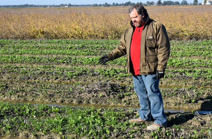 #Conservation &amp; #sustainability remain top priorities as #USSOY farmers lead the way to preserving the Earth’s resources for the future.🌱🌎 Learn more in the 'Sustainability and Conservation' section of ASA's website: ow.ly/xWoi50Ev6Mx