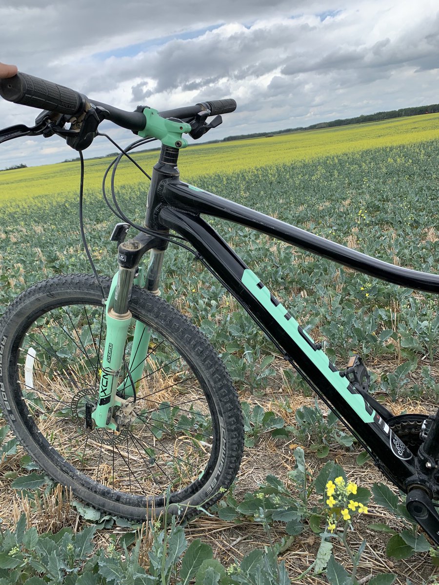ACDeRoo6's tweet photo. My new favourite scouting tool for weather stations installed in the middle of a field. Might get difficult as sprayer tracks fill in, with very little fungicide being applied, but I’ll take it for now! #scout21 #cropintel #marinbikes https://t.co/ydnWcrTi7O