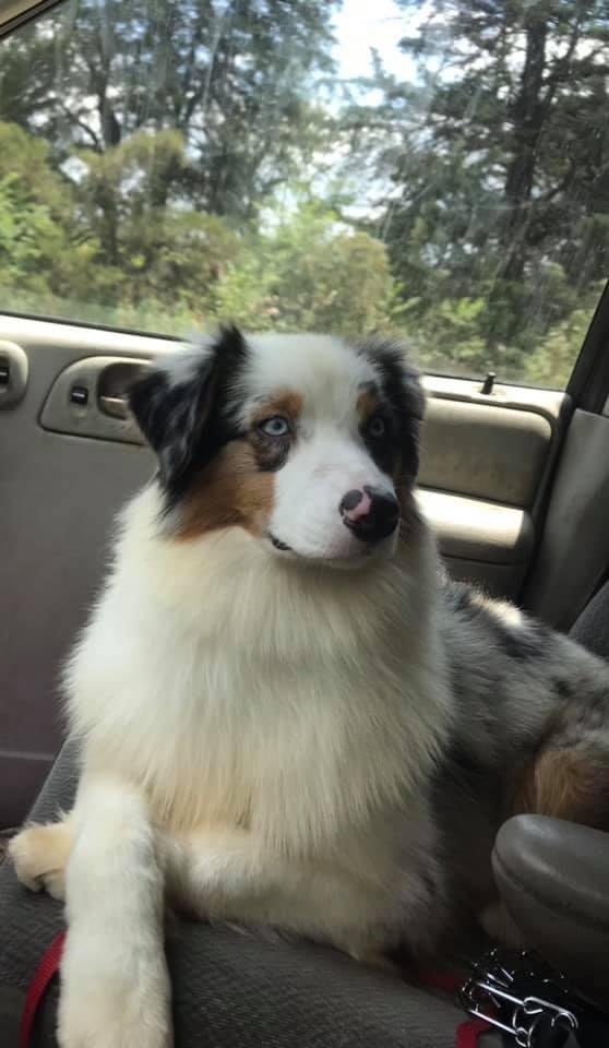 Gigawatt Studios LLC. tweet media