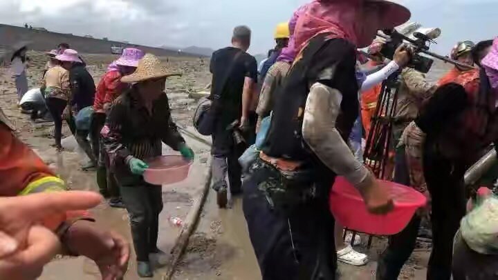 OY30yXyn3qGEcVd's tweet image. 一边在杀鲸鱼。
一边在救鲸鱼。

图一；丹麦渔民屠杀175 头领航鲸，海水变血水。

图二、三；6日，12头瓜头鲸
在浙江台州临海一滩涂搁浅
随后一场长达10多个小时的生死营救。