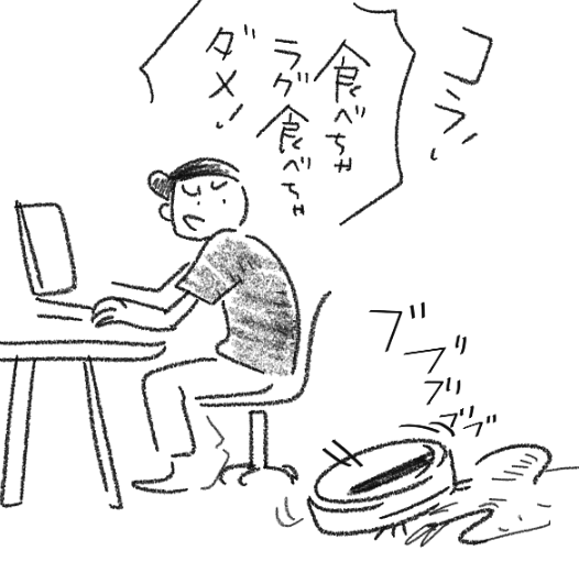 動物は飼えないけど、掃除ロボットは室内飼いしている 