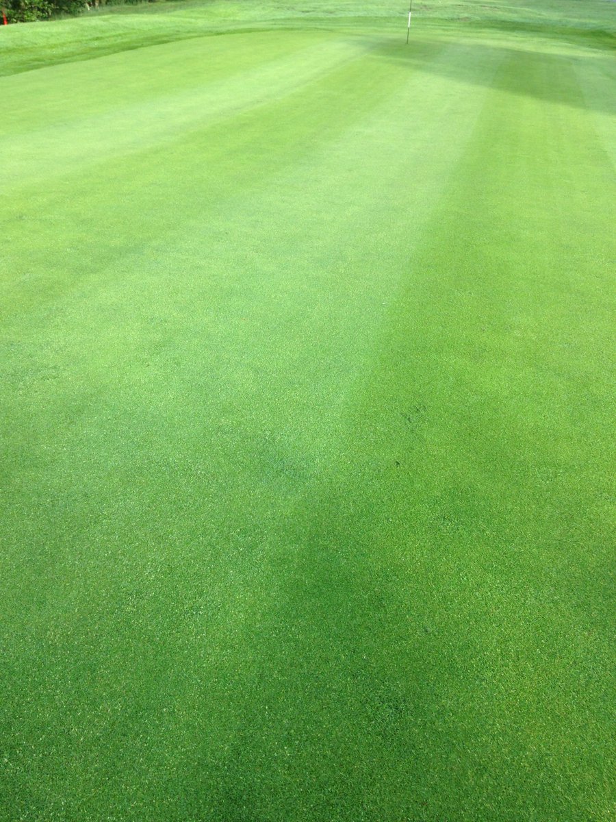 OAS_AlexH's tweet photo. A good friend of mine has decided to retire and sent me these pictures of when he started and when he left...along with a nice ditty "It's the Power of Oxygen - and #CComplex".
Be safe matey and enjoy your spare time.
@HeadlandAmenity https://t.co/0YaXWLTLvE
