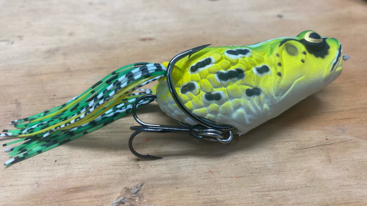 mike_Iaconelli's tweet photo. Tricks of the trade! @Molixfishing @TackleWarehouse #poppingfrog #openwaterfrog #ikeapproved https://t.co/UBovOdFYU8