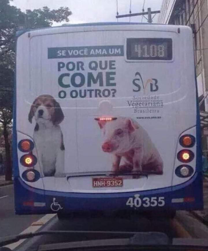 memesnenhuma's tweet photo. Respondam (Argumentos válidos) https://t.co/ASxEBOPY54