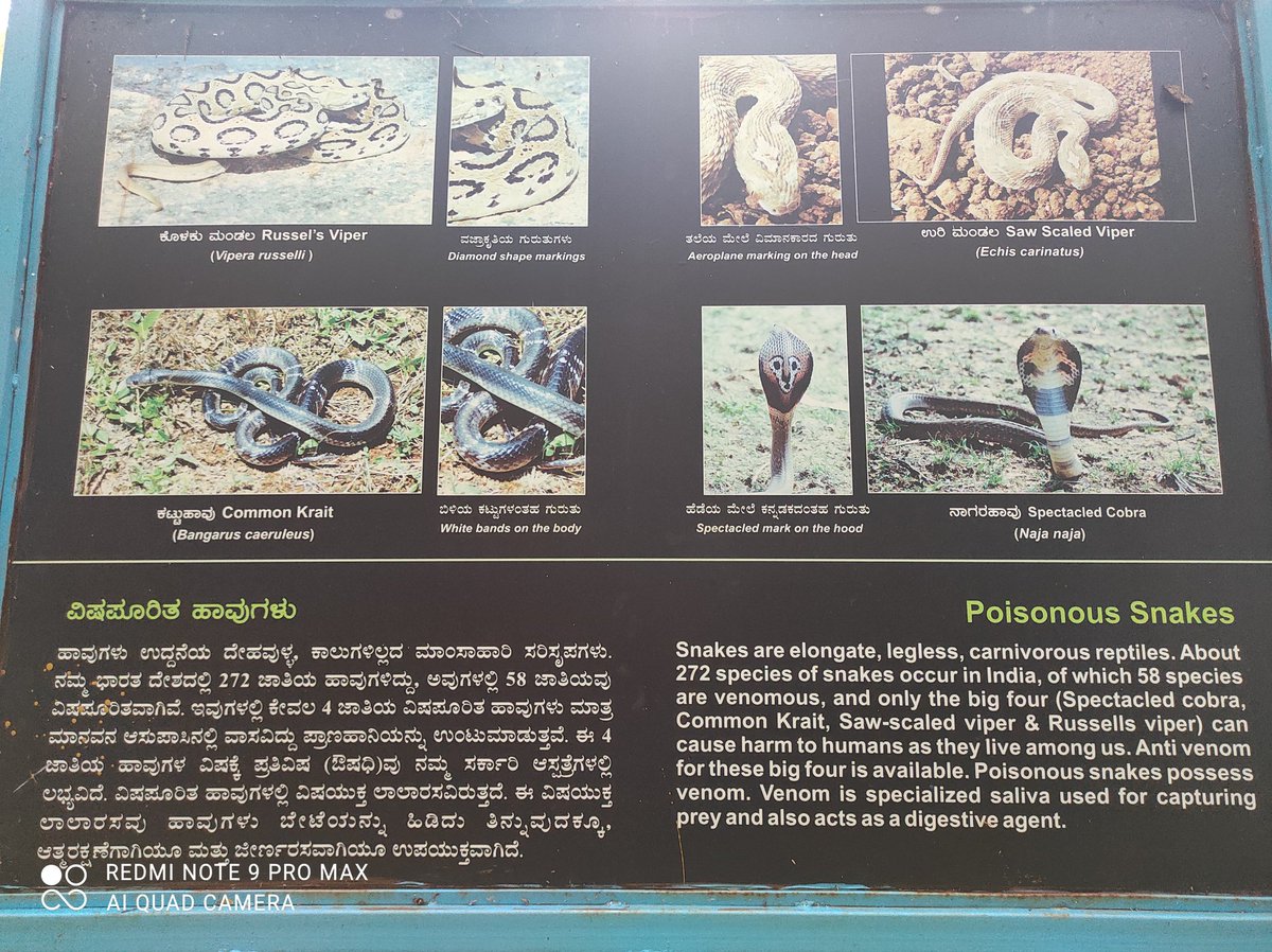 Mysore forest division tweet media