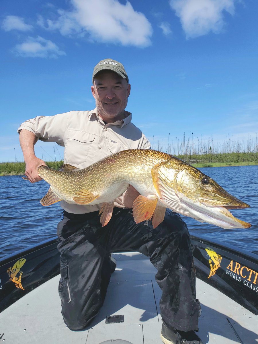 Patrick Walsh tweet media