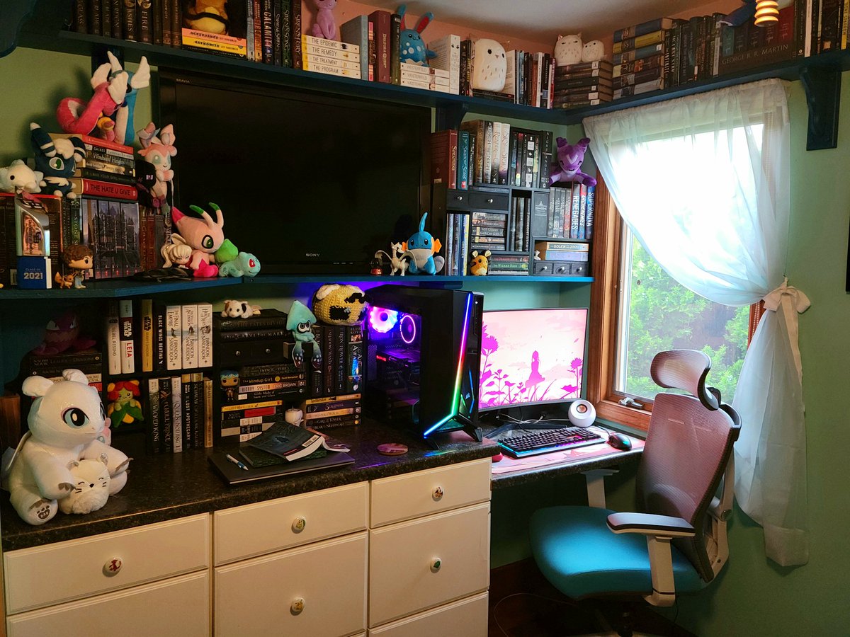 SunsetSnows's tweet image. More bookshelves for more books that I have read and need of course 🥵