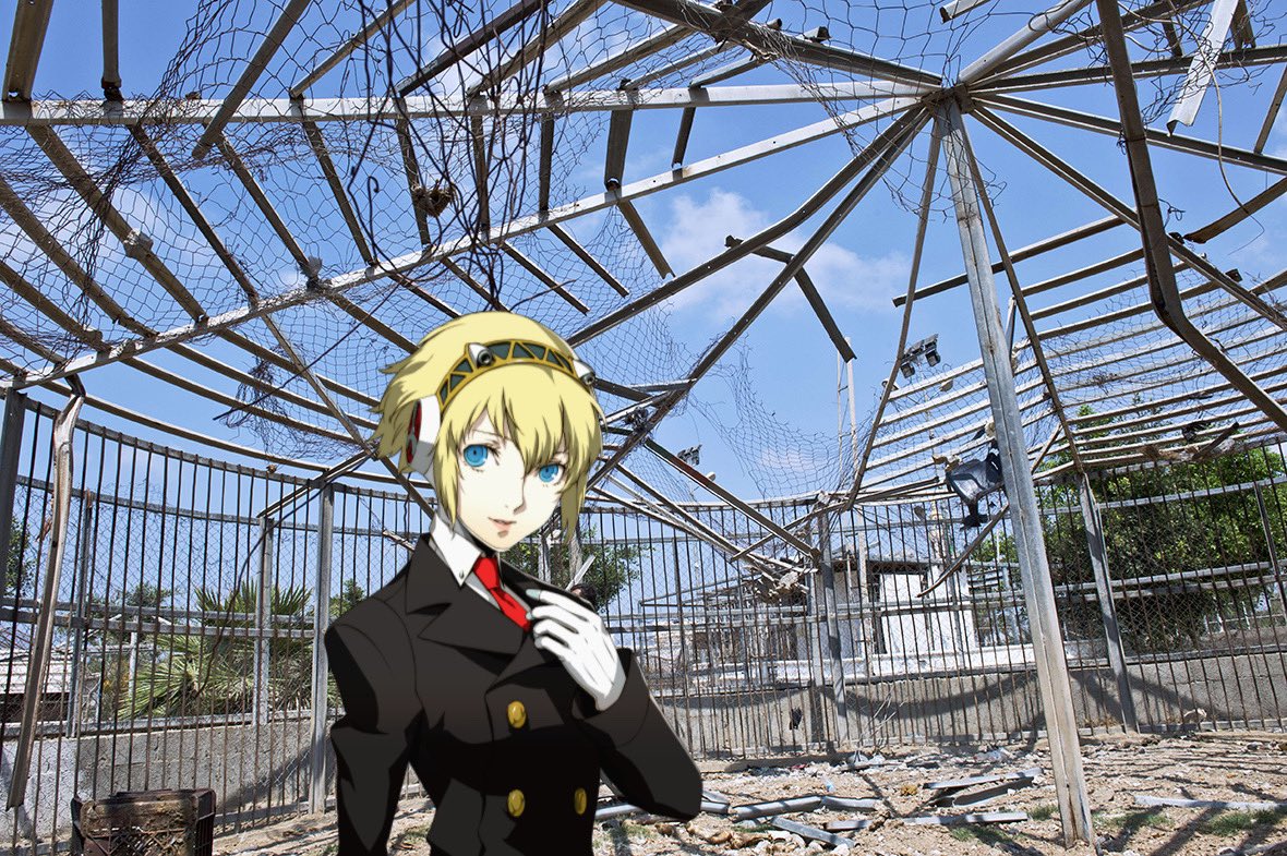 ㅤ

    AHA❗️❗️I have decided to break into a Zoo, go free monkey friends❗️

ㅤ