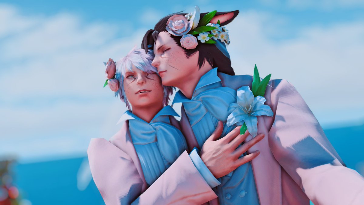 A soft cat tweet media