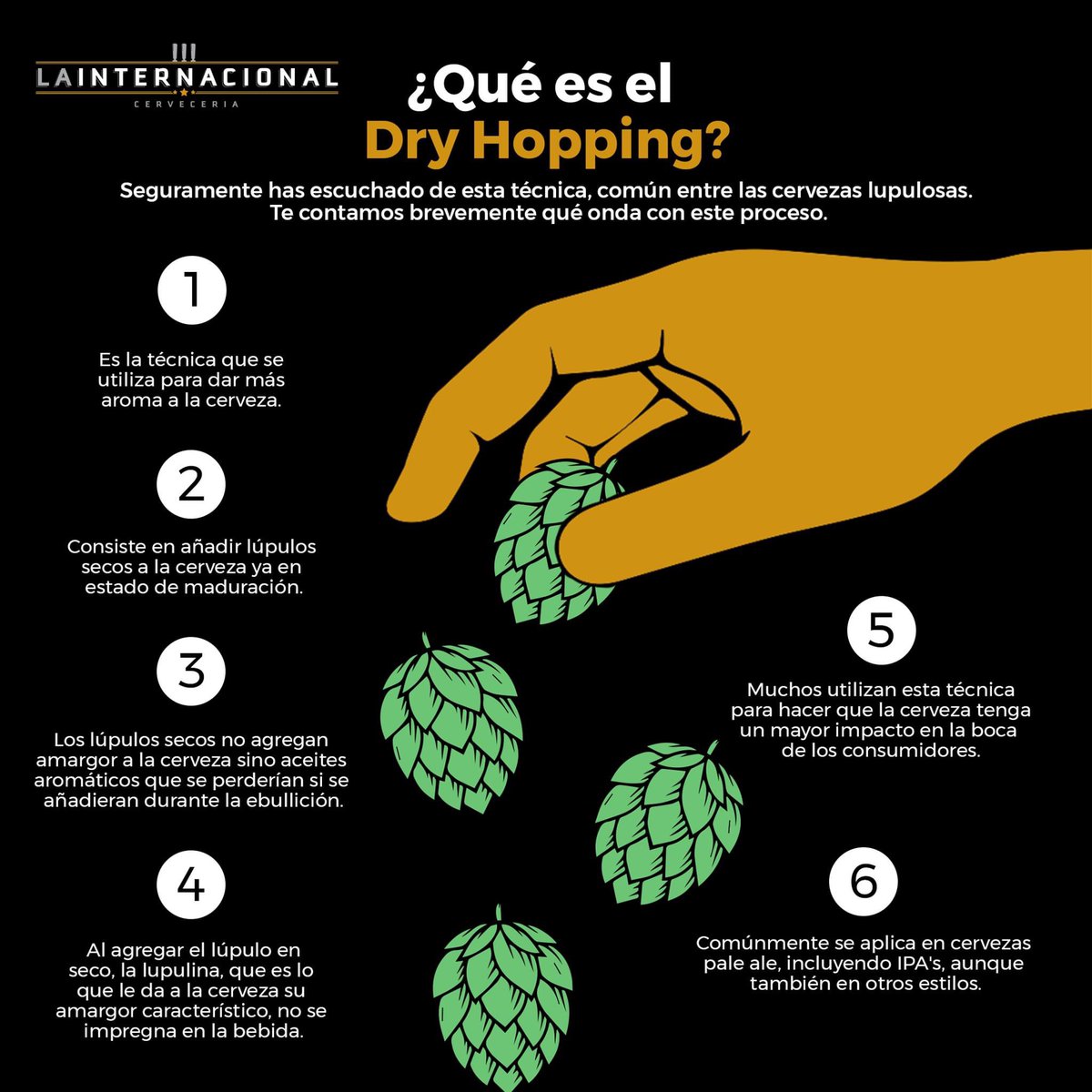 ❗️Cooltura Cervecera❗️
La técnica que detona el aroma 👃🍺

Escuchamos que muchas cervezas pasan por la técnica del Dry Hopping, pero ¿sabes de qué trata este proceso? 🍻

 ❓Qué cheves con Dry Hopping te han gustado❓

#hablamosCERVEZA #CervezaArtesanal
<a href="/LaInterQro/">La Internacional</a>