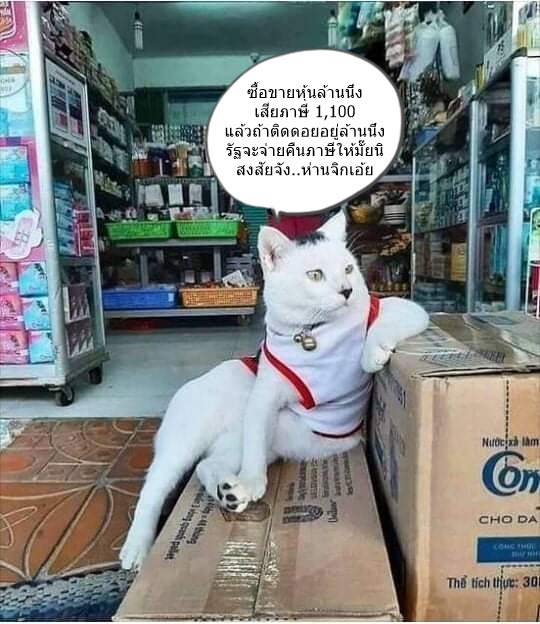 nick36625567's tweet photo. Morning ☕️
#หุ้น 
#หุ้นไทย https://t.co/GqgPVhj28W
