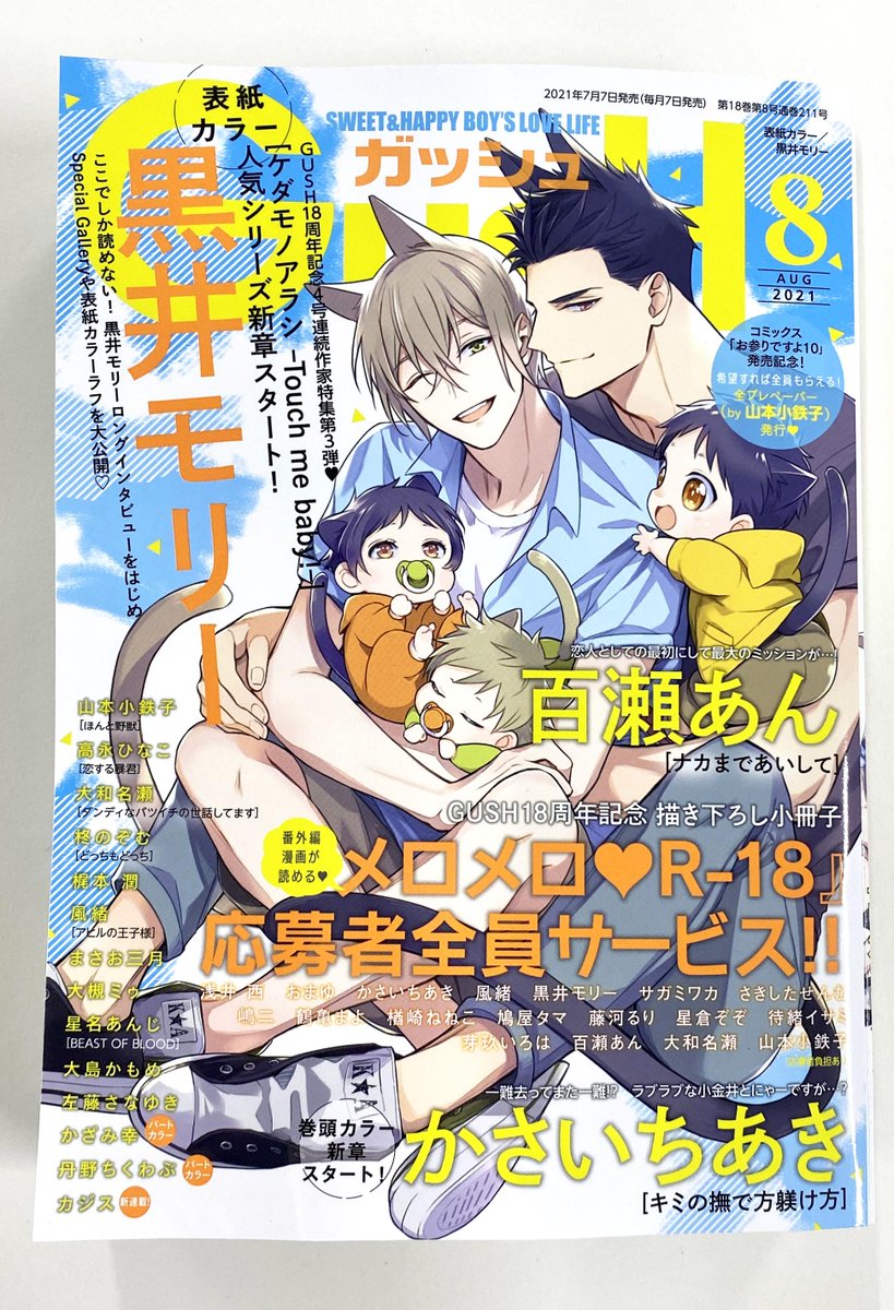 大島かもめ Skyfly Boy Twitter