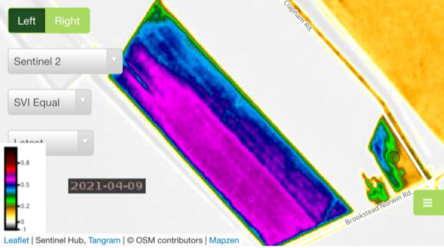 BlackEarthAgro's tweet photo. I've written a quick article: NDVI AND SVI SATELITTE IMAGERY AS A TOOL TO ASSESS COTTON DEFOLIATION TIMING https://t.co/IRMUgxmBFH https://t.co/y0IStIU0ft