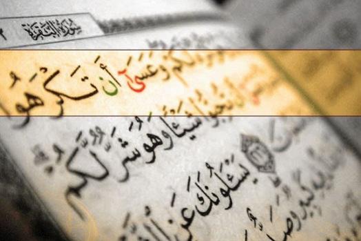 " الجميل في المواساة الربانية أنها لا تشبه أي مواساة.. فإن لها أثراً يجعل النفس والقلب في حالة اطمئنان عجيبة ..
طريقك مسدود، تائه، مثقل .. فتقرأ قوله تعالى (وعسى أن تكرهوا شيئاً وهو خيرٌ لكم وعسى أن تحبوا شيئاً وهو شرٌ لكم والله يعلم وأنتم لا تعلمون)#الوظايف_التعليميه
#الخارجية