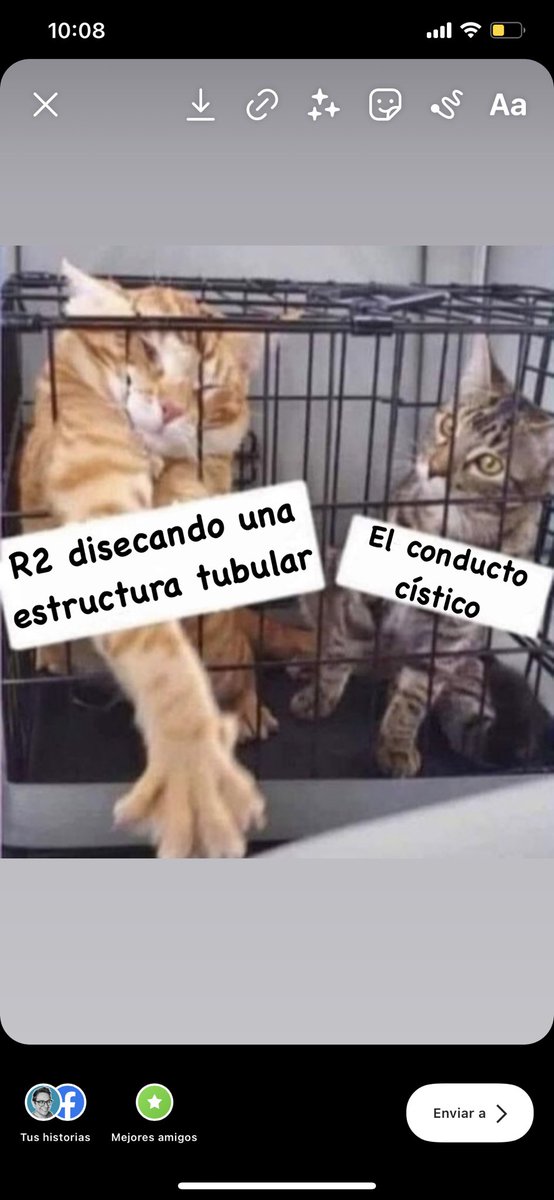 drpedromonsalve's tweet photo. Mi primera vesícula @gaboescvi @metalandros @anhanssen @ottolinopablo https://t.co/4GADO81Dsq