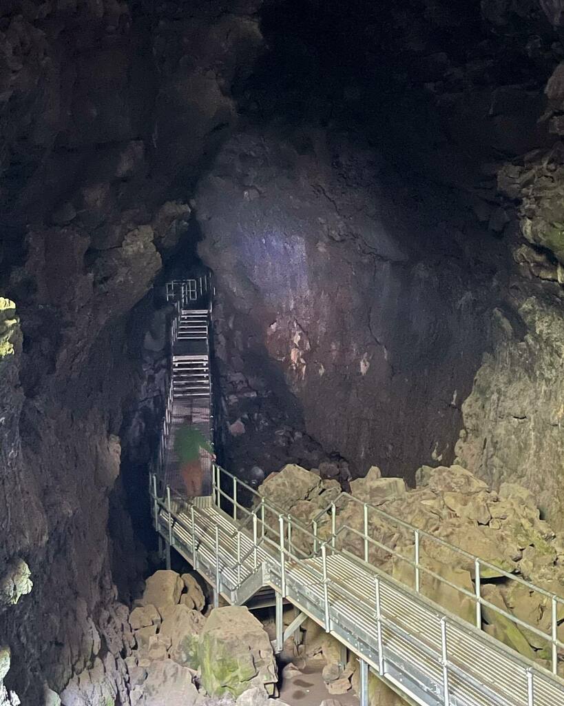 elton lin tweet media