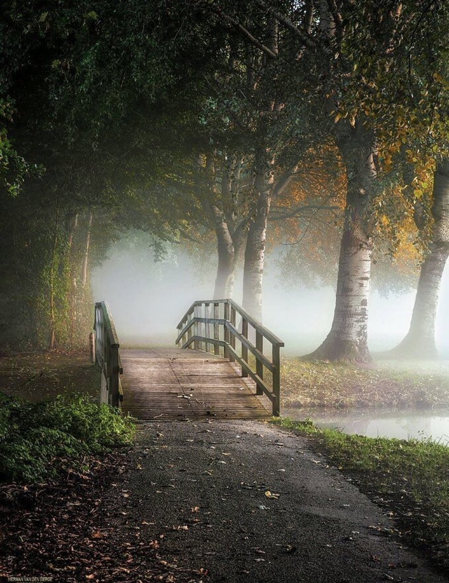 ОБСТОЯТЕЛЬСТВА ЖИЗНИ,
УКРЕПЛЯЮТ ДУШУ,
СВЕТ
     И СИЛА,ИСТОЧНИК ВЕРЫ!