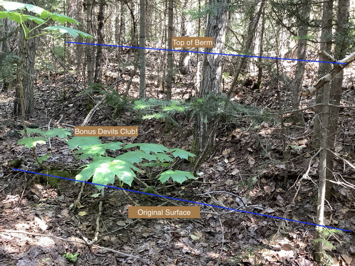 tillhole's tweet photo. Another bad site. Not till, at least not anymore. Road constructional berm is old, note large trees so I guess they thought in place.They did not notice the buried forest floor. 

1/10
#tillhole #Quaternary #minex #geochemistry #till https://t.co/RkXvkjYJ1u