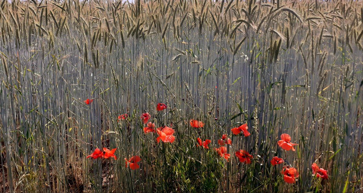 JenCreativJen's tweet image. 