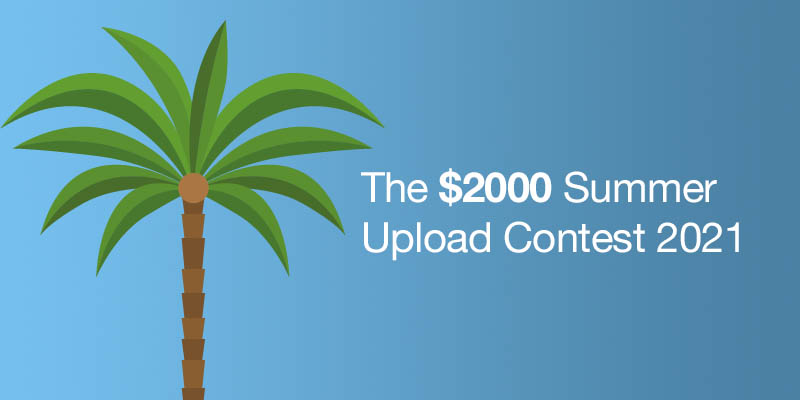 Codester Update tweet media