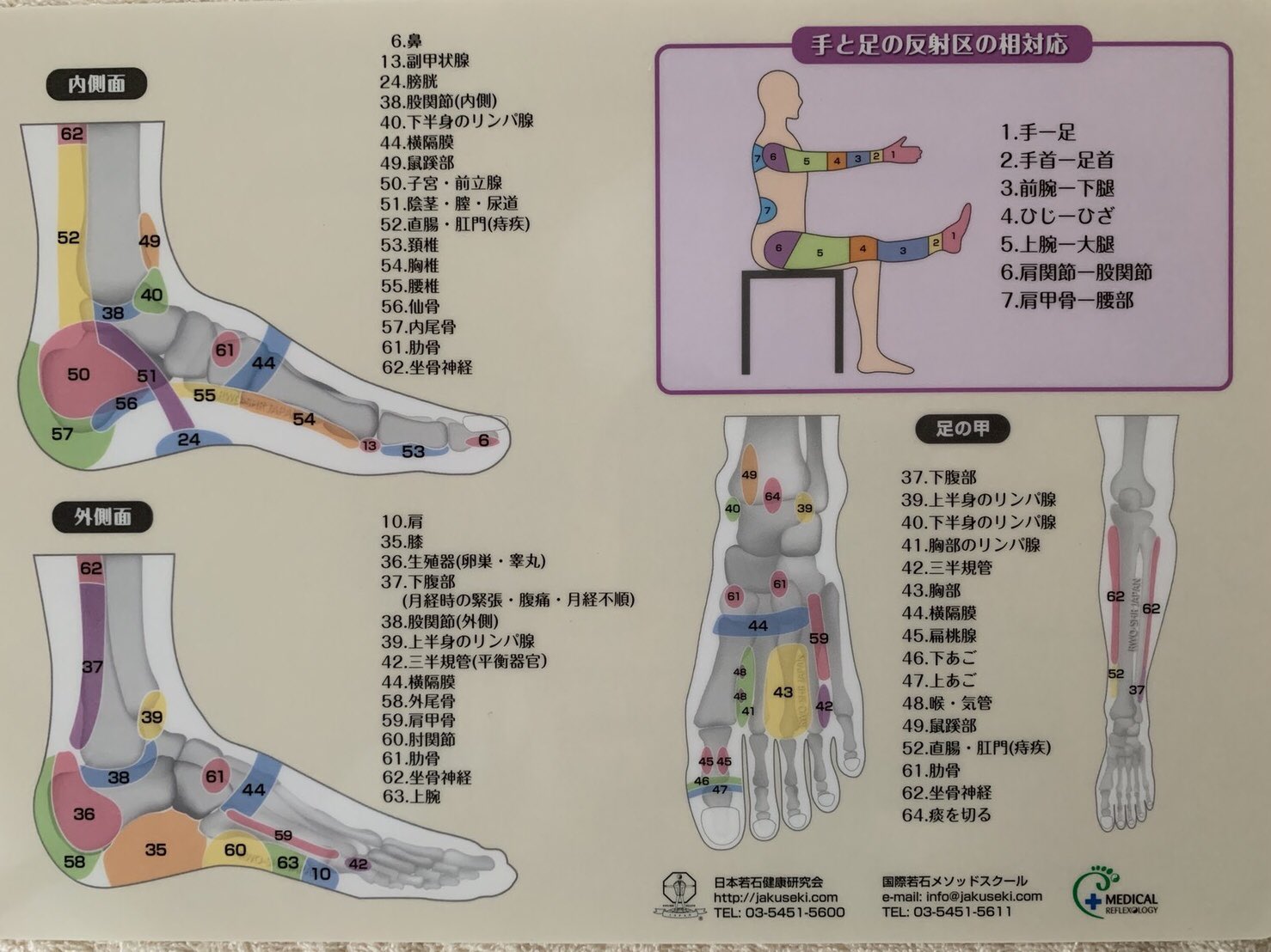 若石サロンnakada こんにちわ 今日は若石の反射区図のご紹介です 若石の反射区は64ヶ所あり まんべんなくゆっくり刺激することで あらゆる不調を改善する効果が期待できます 立山町 足ツボ 富山市 滑川 肩こり 足湯 腰痛 若石