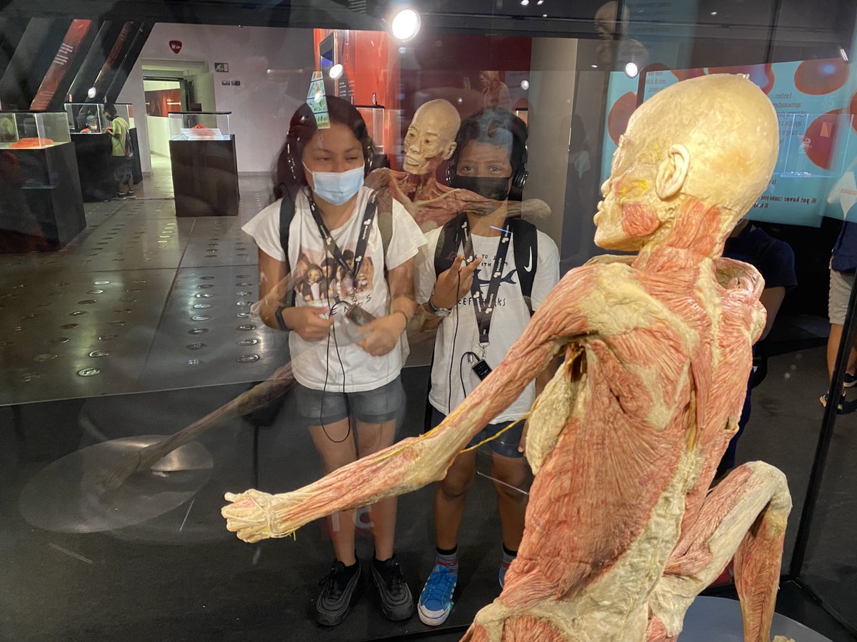 L'altre dia amb el grup de mitjans vàrem visitar l'exposició @hbodies. Us en deixem un resum! 👏 
#GavinaEstiu21 #HumanBodies #Estiu2021 #Raval