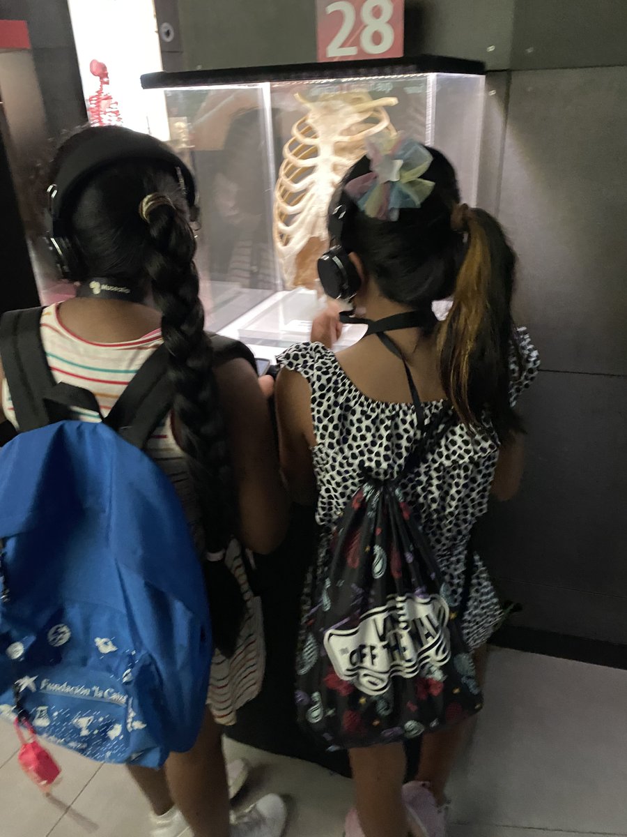 Fundació Gavina tweet media