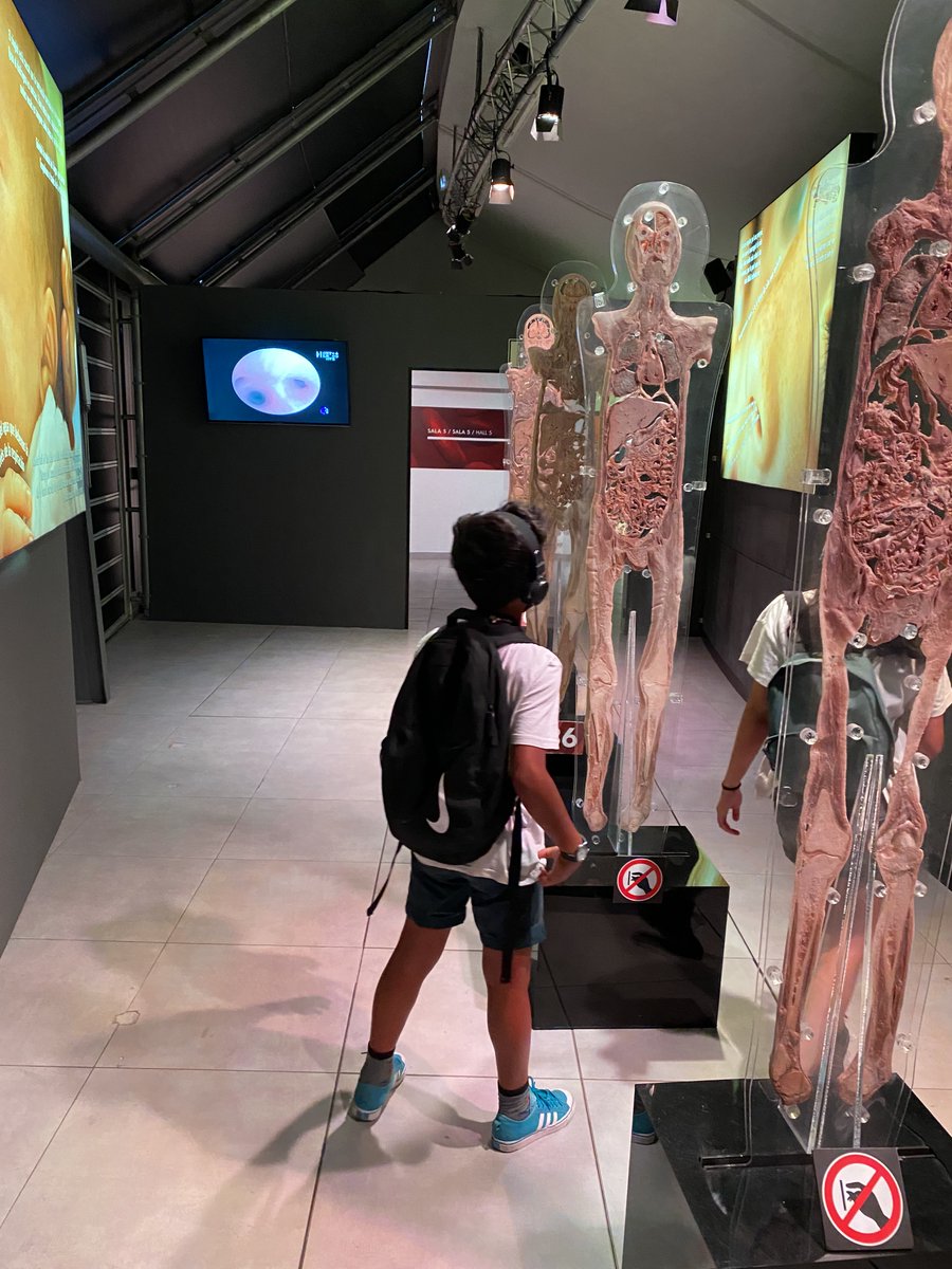 Fundació Gavina tweet media