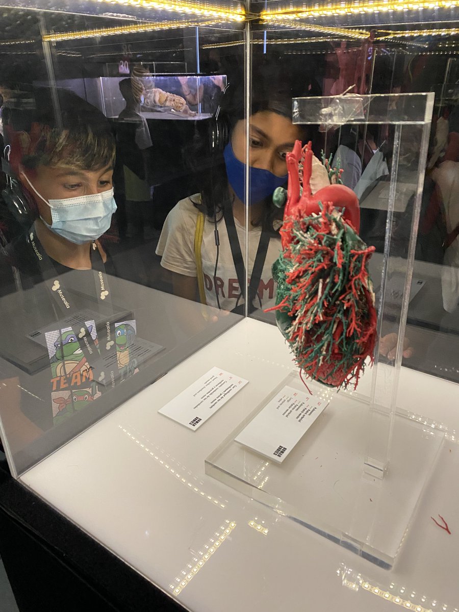 Fundació Gavina tweet media