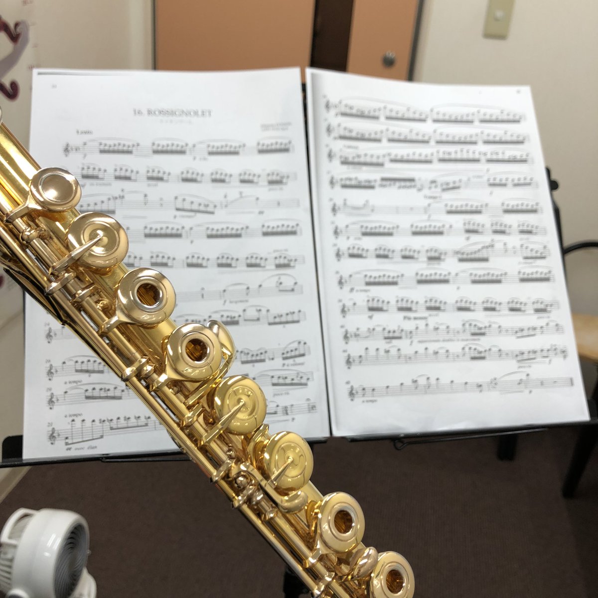 スガナミ楽器 Twitter Search