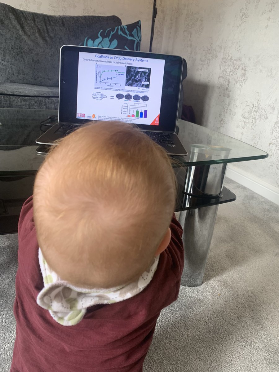 Dr_C_S_Taylor's tweet photo. Looking forward to another afternoon of science @TCES2021 π Unexpected additional delegate attending yesterday afternoon but is back at nursery today π #TCES2021 #science #postdoc #stemmum https://t.co/kdofwY98l2