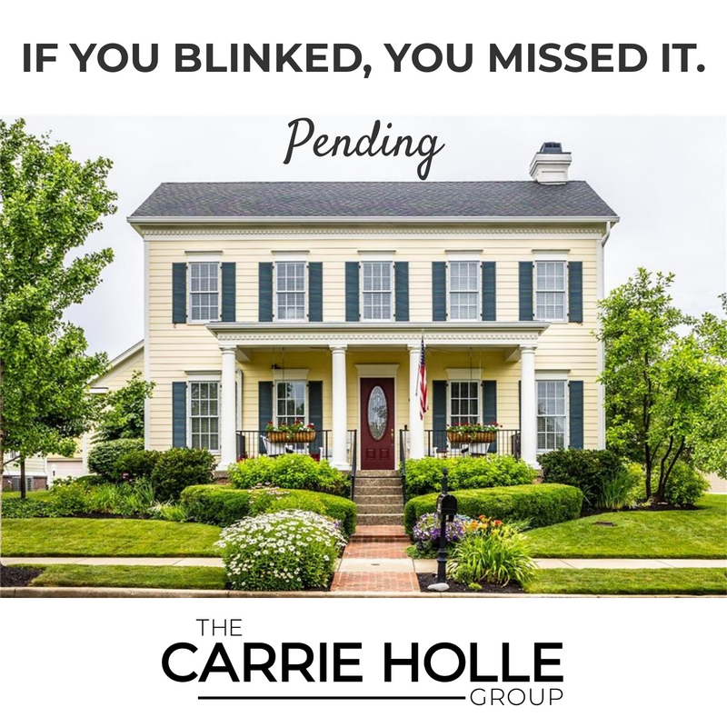 This beautiful house in the Village of West Clay in Carmel did not last long. If you are looking for a similar home, or have a home to sell, please give me a call!
#carrieholle #thecarriehollegroup #wearecarmelrealestate #thechg