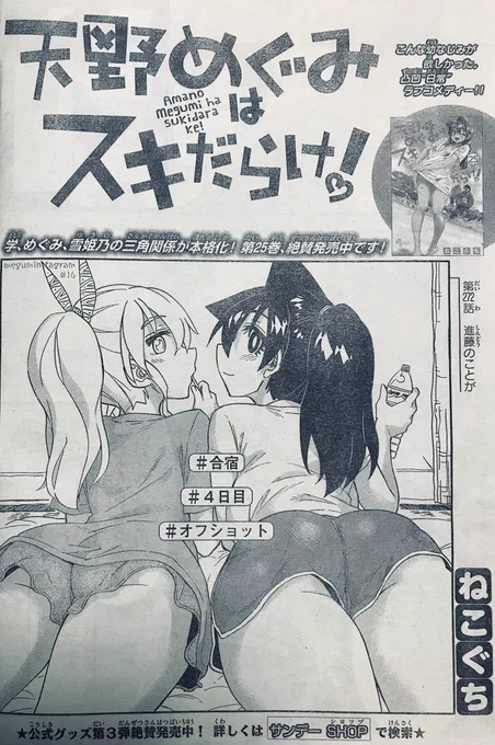 水曜日!週刊少年サンデー32号の日です。
「#天野めぐみはスキだらけ!」第272話、
東大志望ギャル雪姫乃ちゃん、一歩前に進みます。 