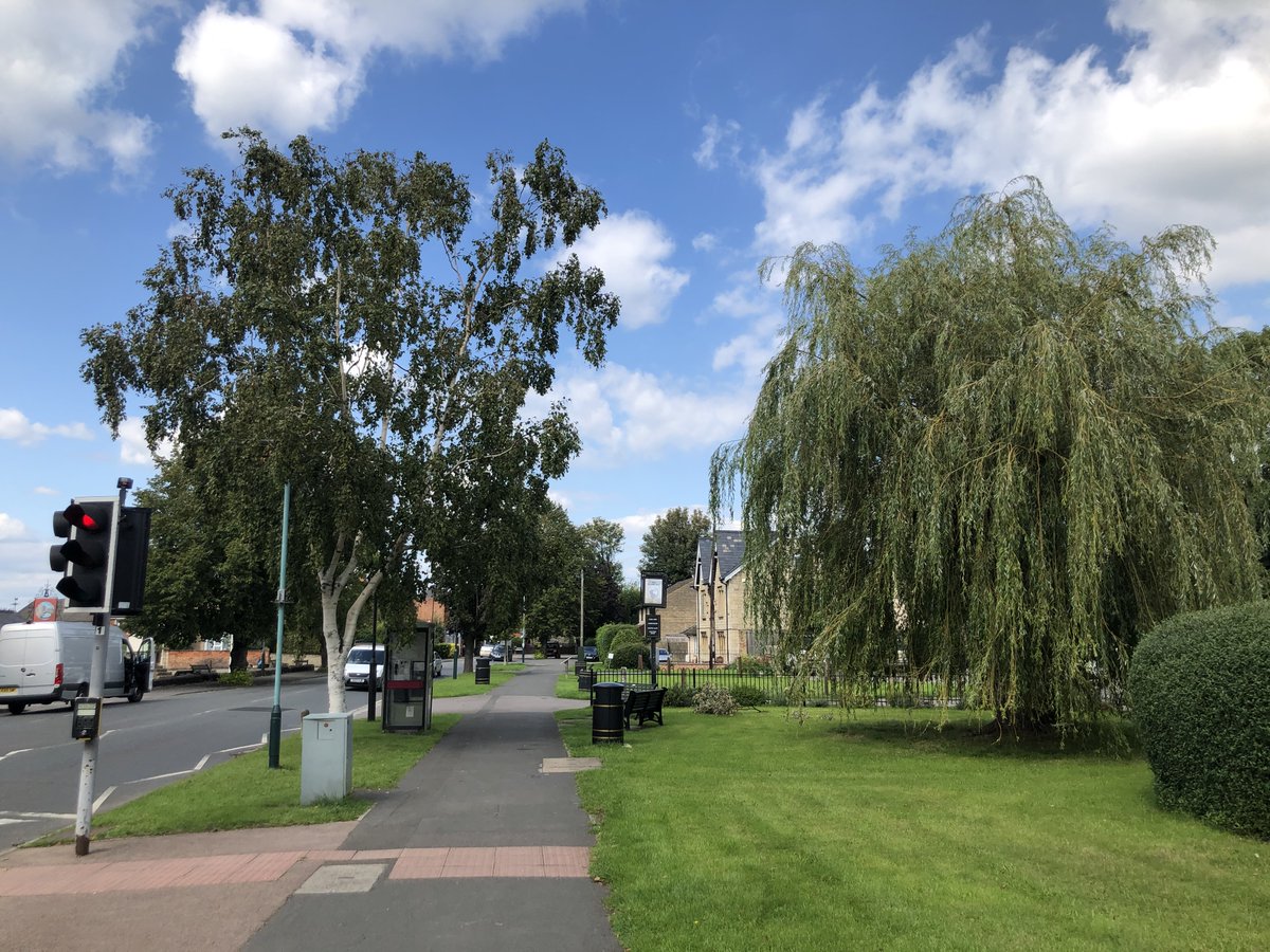 StonehouseTrees's tweet photo. Exciting news.. public consultation is now open for the #Stonehouse Community Arboretum Management Plan! 

Read the document and have your say about the future of #trees in our town here:

https://t.co/OnsG8iqNyH

Deadline for responses is July 19th. https://t.co/sKAZP42GtY