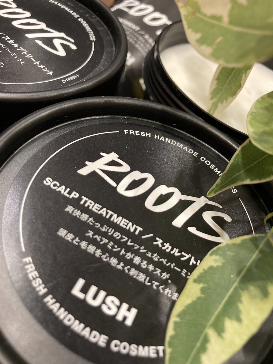 ラッシュ名古屋パルコ店 Lushnagoyaparco Twitter