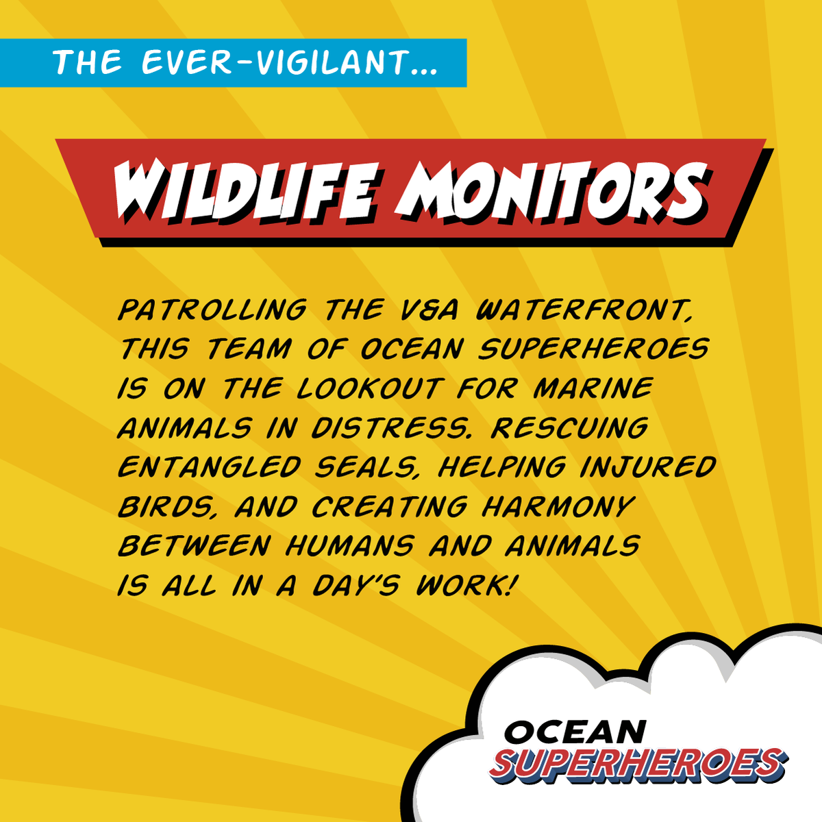 2OceansAquarium's tweet photo. 🦭SEAL TEAM🦸
Meet #OceanSuperheroes Kwanele, Ayanda and Brett, the team patrolling the @VandAWaterfront, on the lookout for animals in distress! Seals, seabirds, sunfish, dolphins and more - these three have rescued them all! https://t.co/uOuMvmDhwd