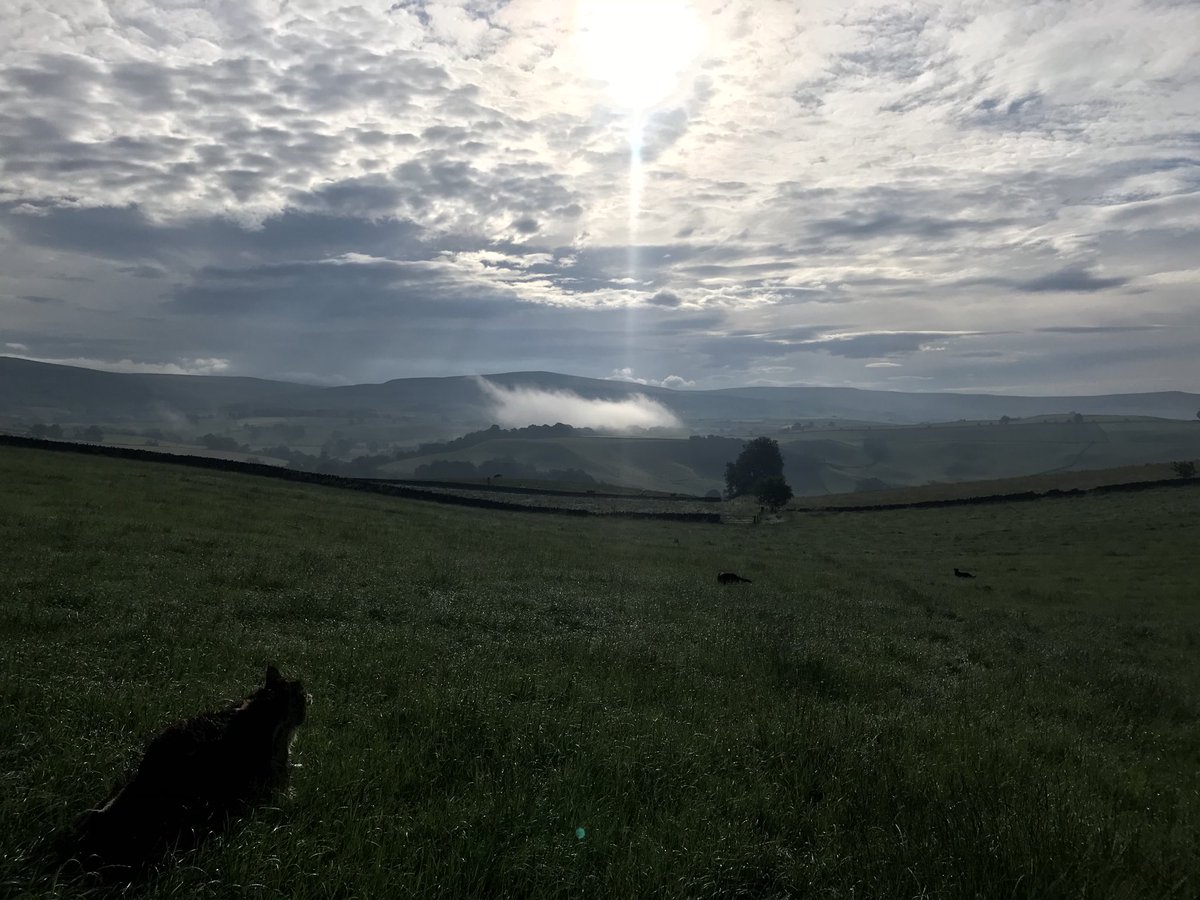 Never tire of this view. #Wednesdaymorning #Welshsheepdog #FarmingCAN #farm24 #Cumbria #dogs