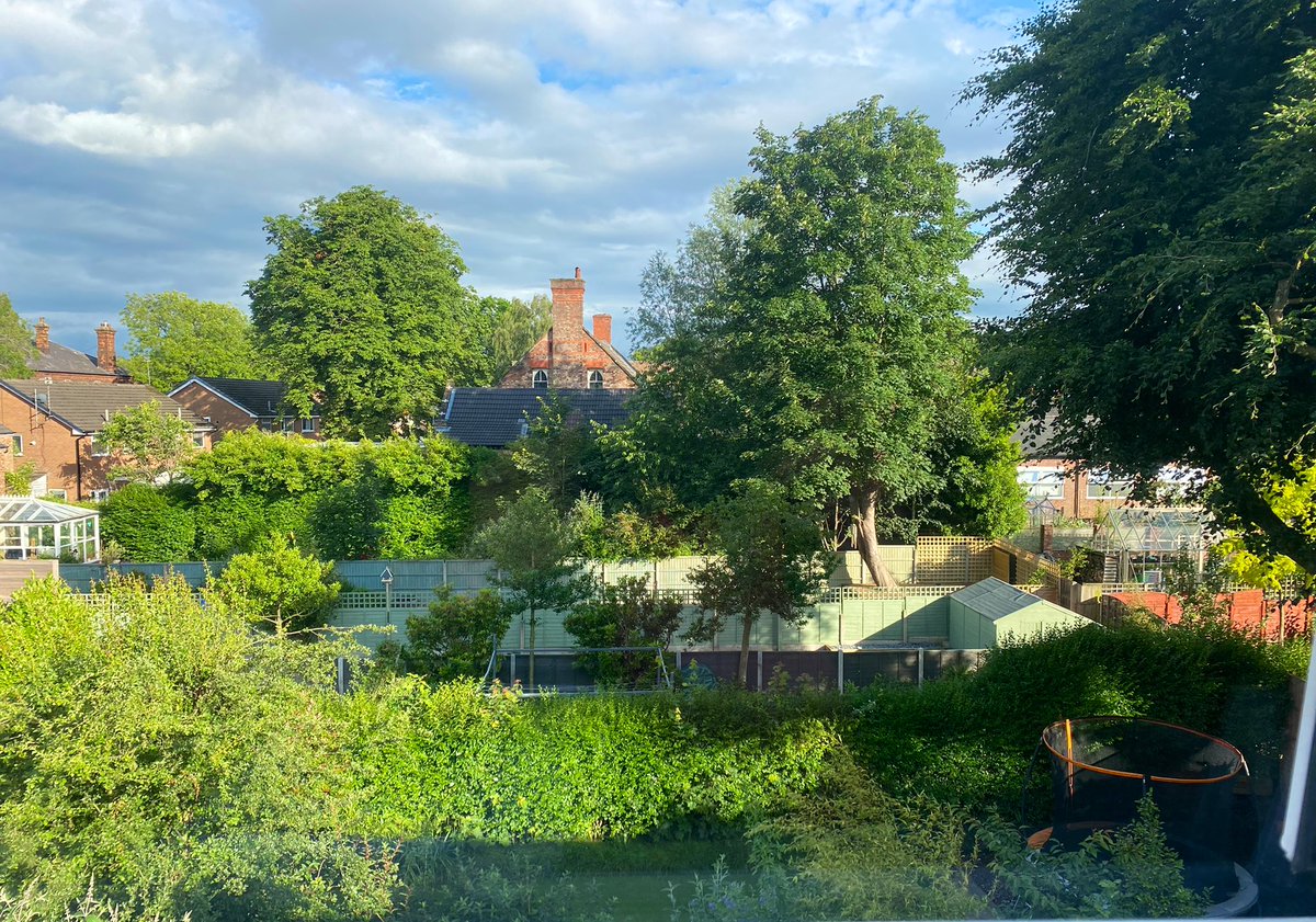 humber_l's tweet photo. 2wks off to move house ๐ก; now back to work with a new office view ๐ ๐ณ, new role and bulging Outlook inbox: letโs do this!! ๐ช๐ป
#GreenTreeThinking ๐ญ #AtticViews #NeverMovingAgain ๐คช @ManCityCouncil https://t.co/mDxvGPPbJn