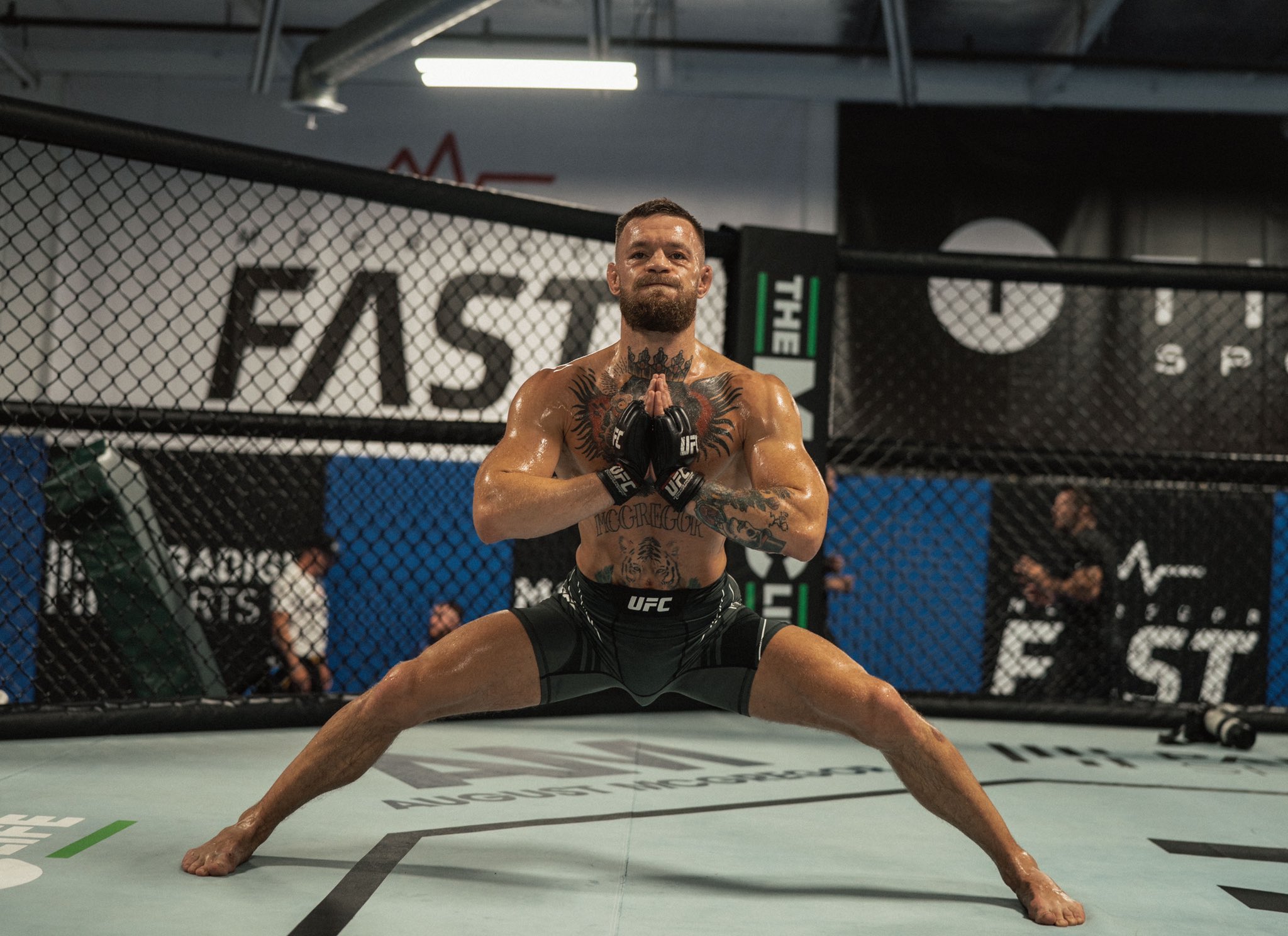 Conor Mcgregor On Twitter Excellent Work Today Https T Co P9k26oxnwf Twitter