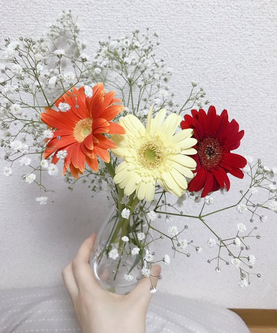 2本 高画質 のtwitterイラスト検索結果